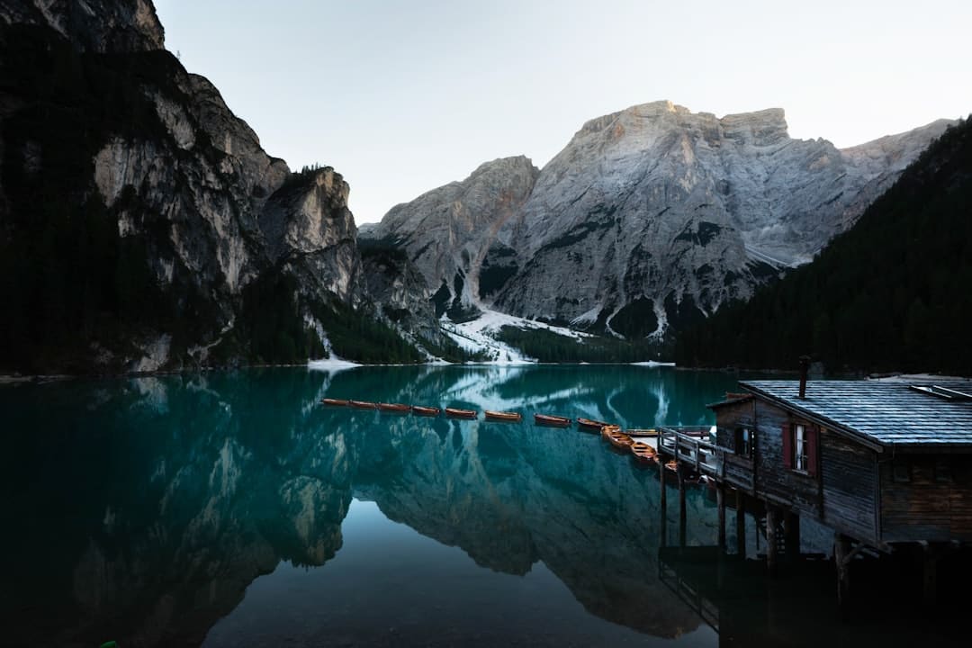 https://zqb.cyol.com/pc/content/202508/17/../../../pic/202508/17/fcb353f8-9715-440e-9bf8-ef8924a474c5.jpg
